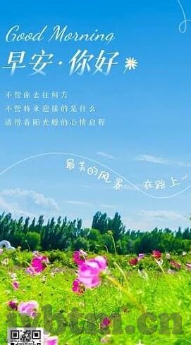 牛牛成人永久免费视频-牛牛成人视频，网络世界的真实与幻想交织