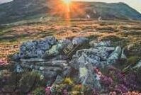 糖心app苹果版免费-尽享非凡体验，解锁糖心APP的乐趣